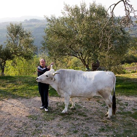 Tourist Farm Robivera Šmarje エクステリア 写真