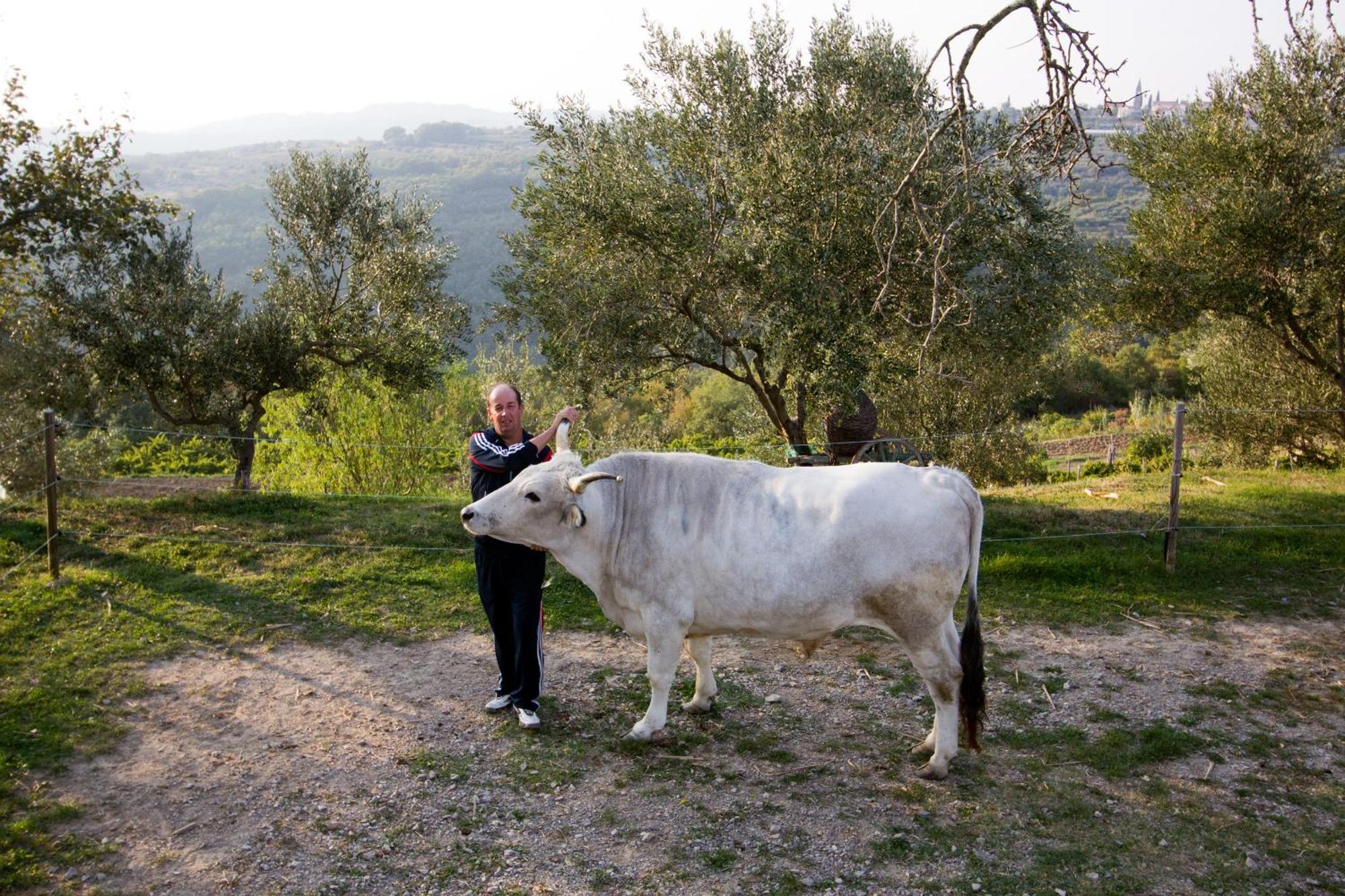 Tourist Farm Robivera Šmarje エクステリア 写真